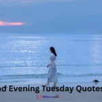 Good Evening Tuesday Quotes