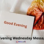 Good Evening Wednesday