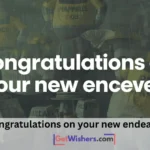 Congratulations New Endeavor