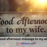 Good Afternoon Message Wife