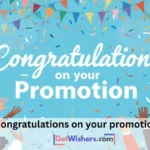 Congratulations Promotion