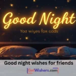 Good Night Wishes Friends