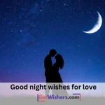 Good Night Wishes Love