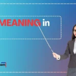 IDTS Meaning in Text