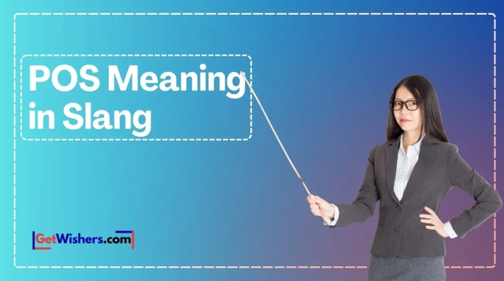 Pos Meaning In Slang