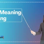 Pos Meaning In Slang