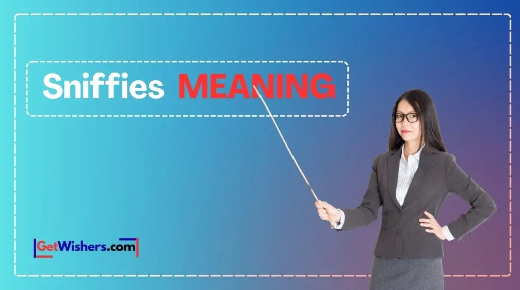 Sniffies Meaning