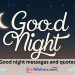 Good Night Messages Quotes