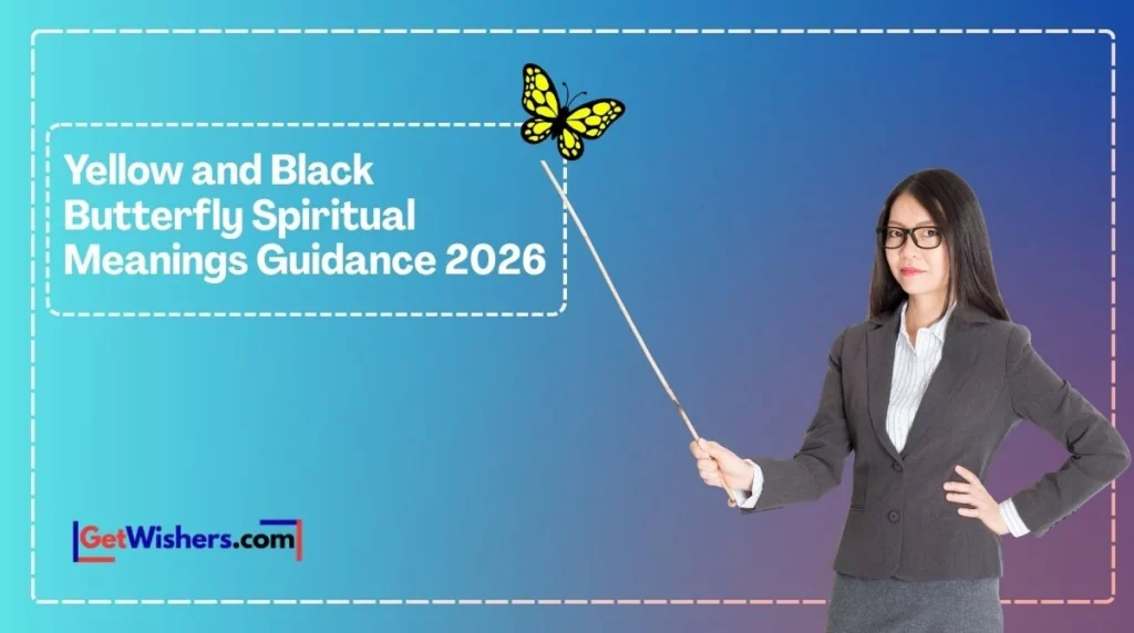 Yellow And Black Butterfly Spiritual Meanings