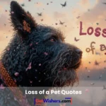 Loss Of A Pet Quotes
