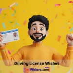 Driving License Wishes