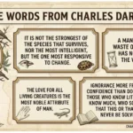 Charles Darwin Quotes