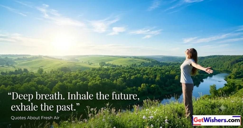 Quotes About Fresh Air